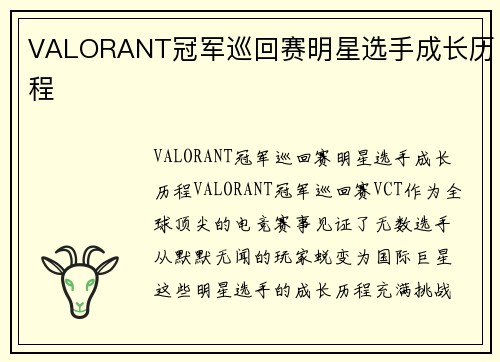 VALORANT冠军巡回赛明星选手成长历程