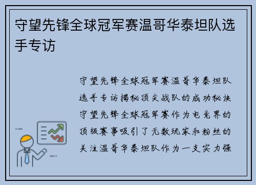 守望先锋全球冠军赛温哥华泰坦队选手专访