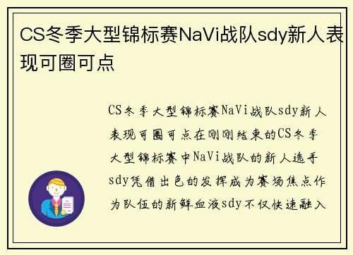 CS冬季大型锦标赛NaVi战队sdy新人表现可圈可点